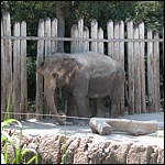 DSCN0761.JPG
