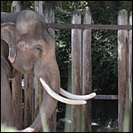 DSCN0764.JPG