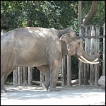 DSCN0765.JPG