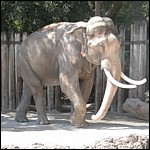 DSCN0766.JPG