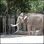 DSCN0768.JPG