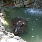 DSCN0770.JPG