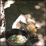 DSCN0771.JPG