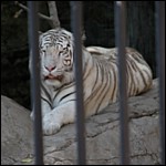 DSCN0773.JPG