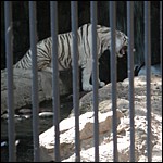 DSCN0775.JPG