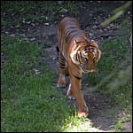 DSCN0776.JPG