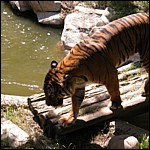 DSCN0777.JPG