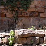 DSCN0778.JPG