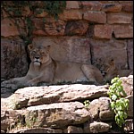 DSCN0779.JPG