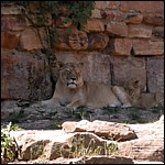 DSCN0780.JPG