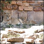 DSCN0781.JPG