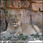 DSCN0782.JPG