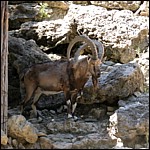 DSCN0785.JPG