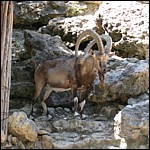 DSCN0786.JPG