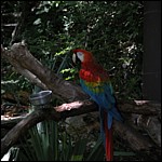 DSCN0787.JPG