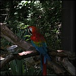 DSCN0788.JPG