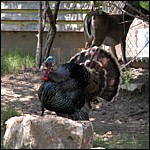 DSCN0790.JPG