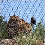 DSCN0794.JPG