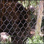 DSCN0795.JPG