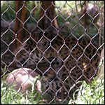 DSCN0796.JPG