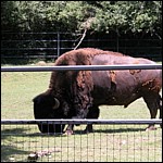 DSCN0797.JPG