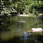 DSCN0799.JPG