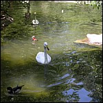 DSCN0800.JPG