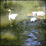 DSCN0801.JPG