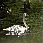 DSCN0802.JPG
