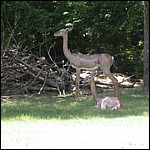 DSCN0803.JPG