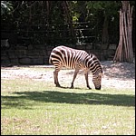 DSCN0805.JPG