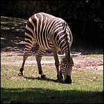 DSCN0806.JPG