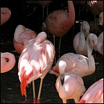 DSCN0808.JPG