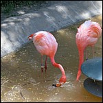 DSCN0810.JPG