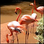 DSCN0811.JPG