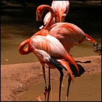 DSCN0813.JPG