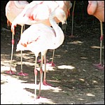 DSCN0815.JPG