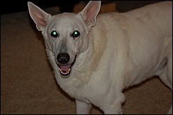 DSC_0003.JPG