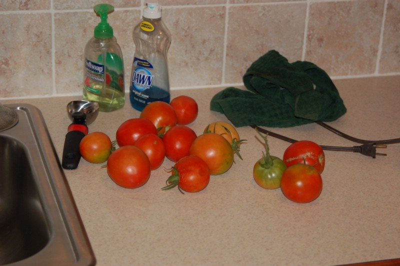 DSC_0016.JPG