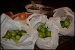 DSC_0014.JPG