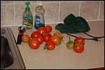 DSC_0016.JPG