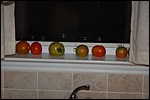 DSC_0017.JPG