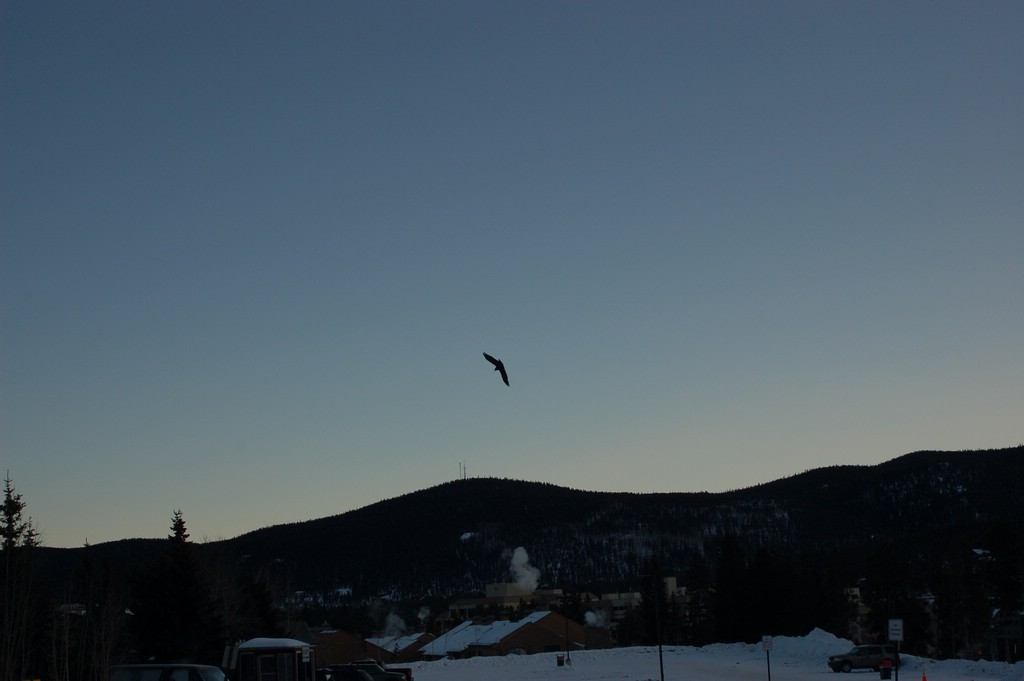 DSC_0016.JPG