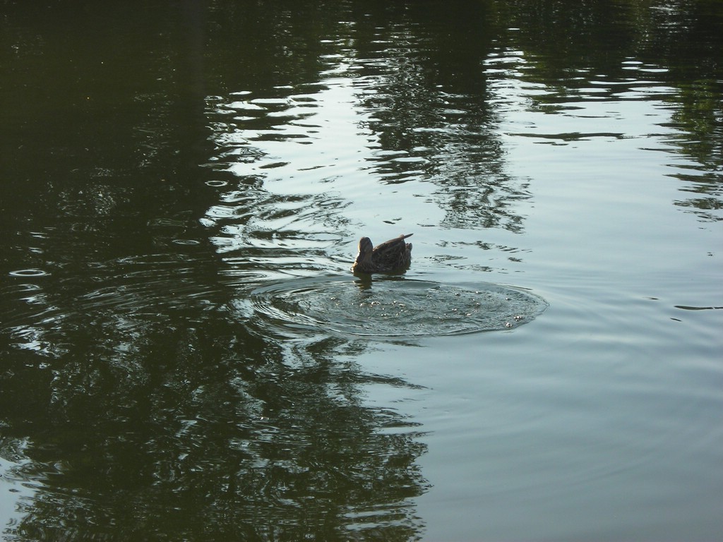 1DSCN0157.JPG