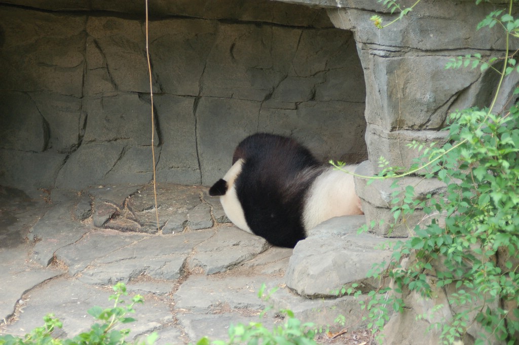 DSC_0011.JPG