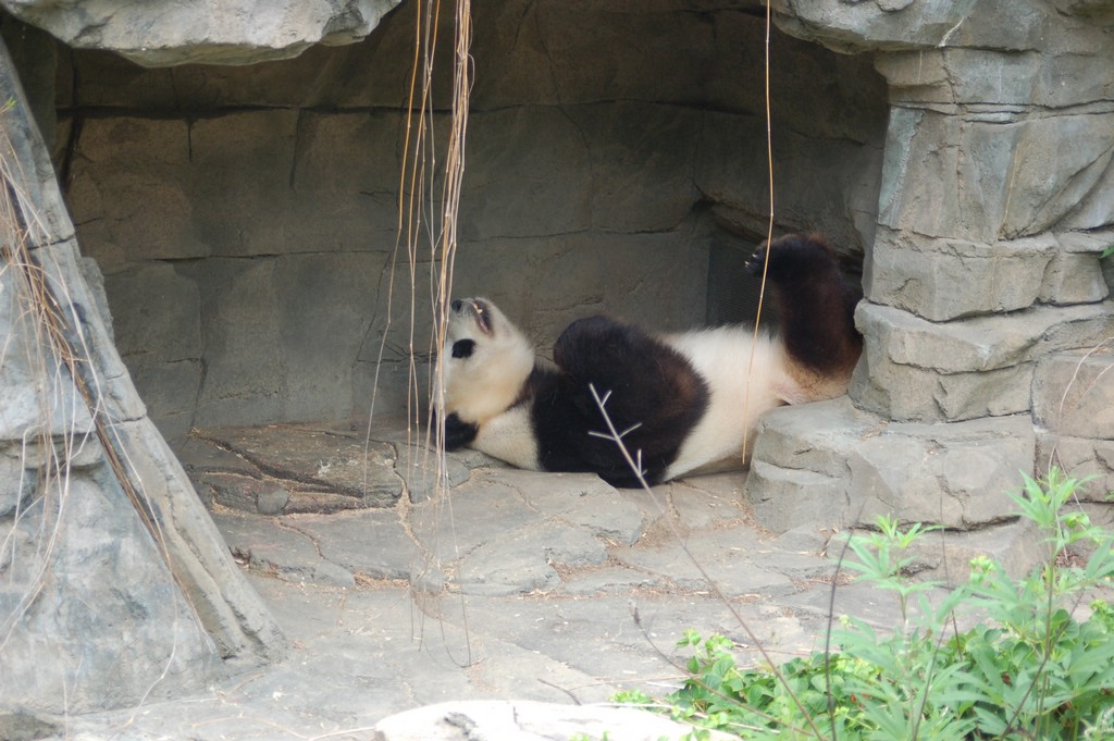 DSC_0013.JPG