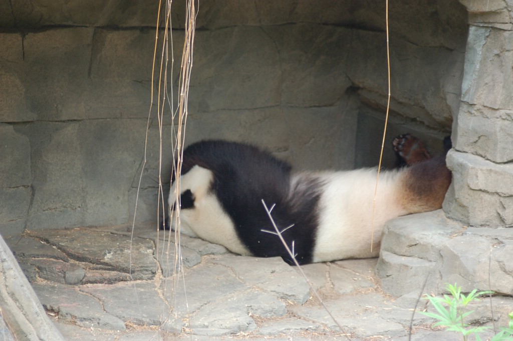 DSC_0016.JPG