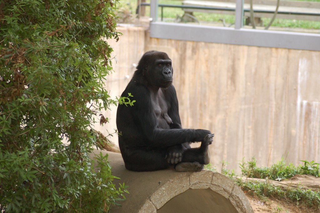 DSC_0018.JPG