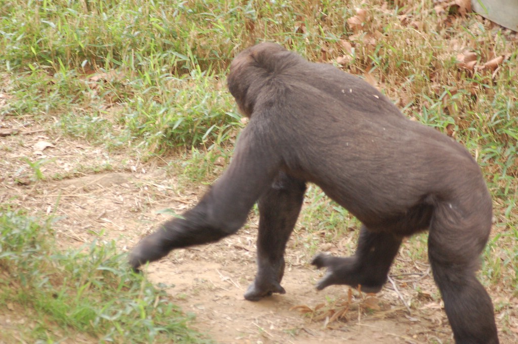 DSC_0021.JPG