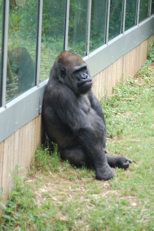 DSC_0025.JPG